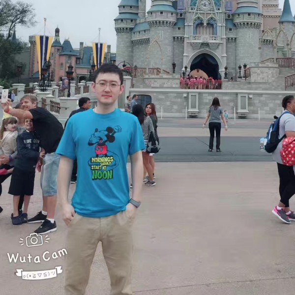 聪慧踢羽毛的照片