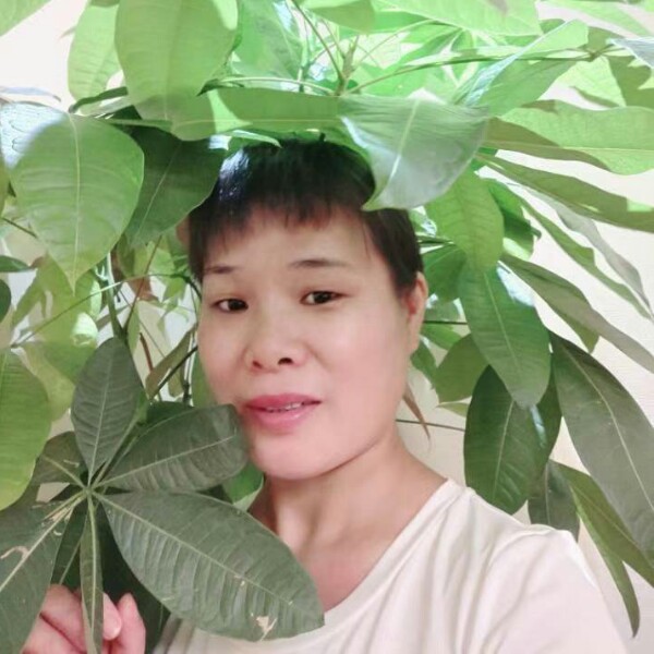 找一个志同道合的的照片
