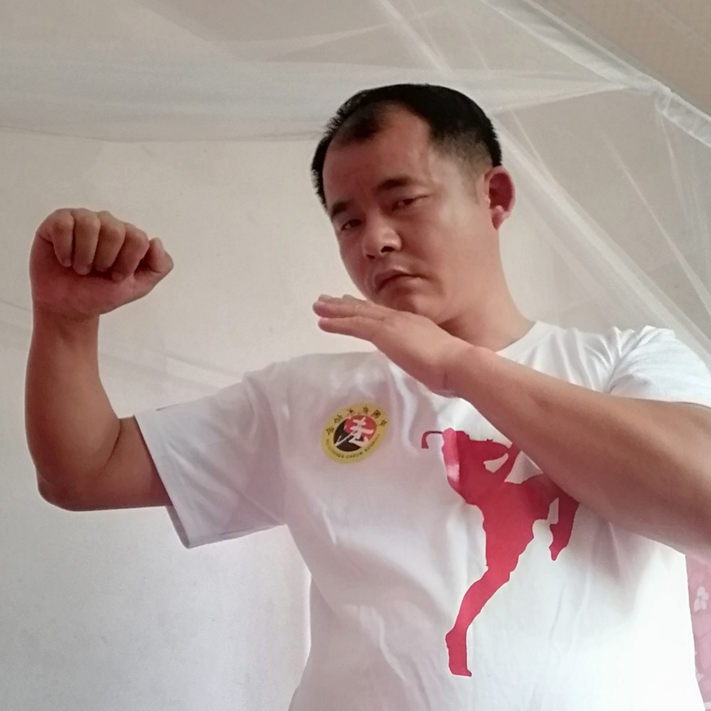 金鱼踢执着的照片