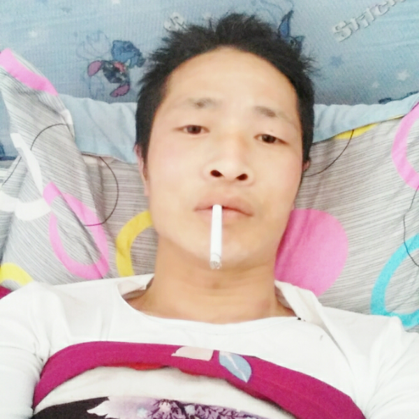 康乃馨闪闪的照片