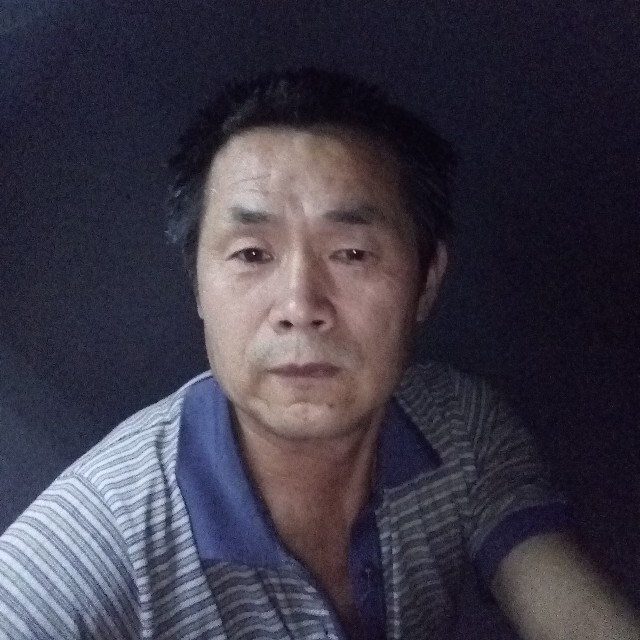 宝马缓慢的照片