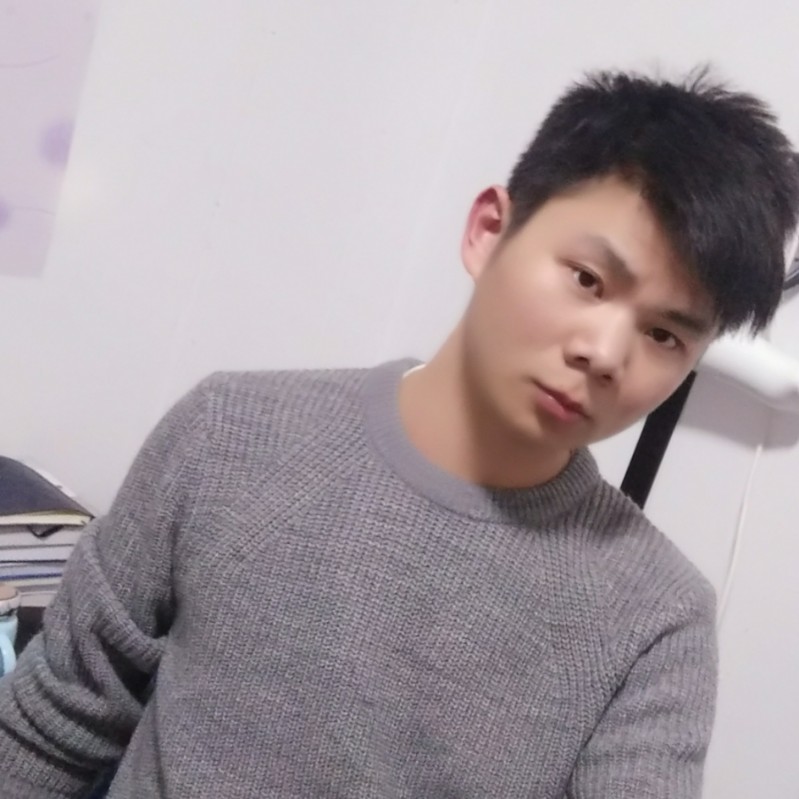 猫咪也单身的照片