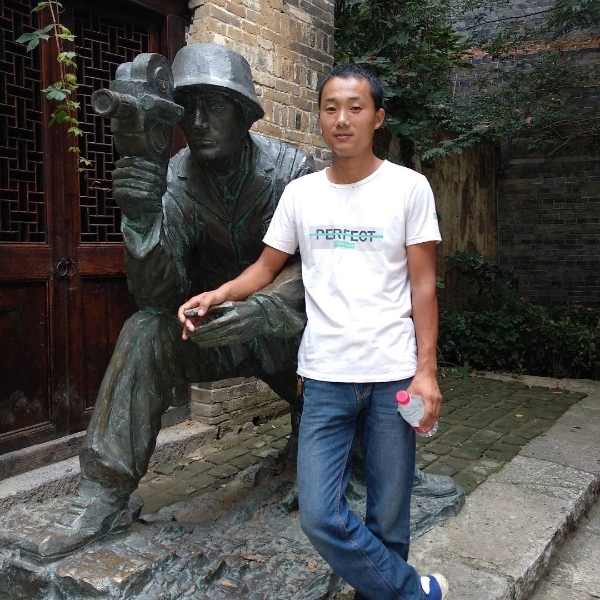 魔幻仙人掌的照片