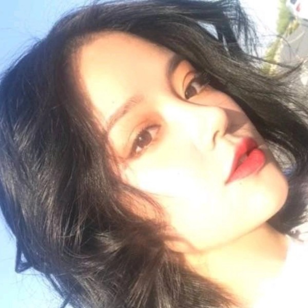 仙女的鹿的照片