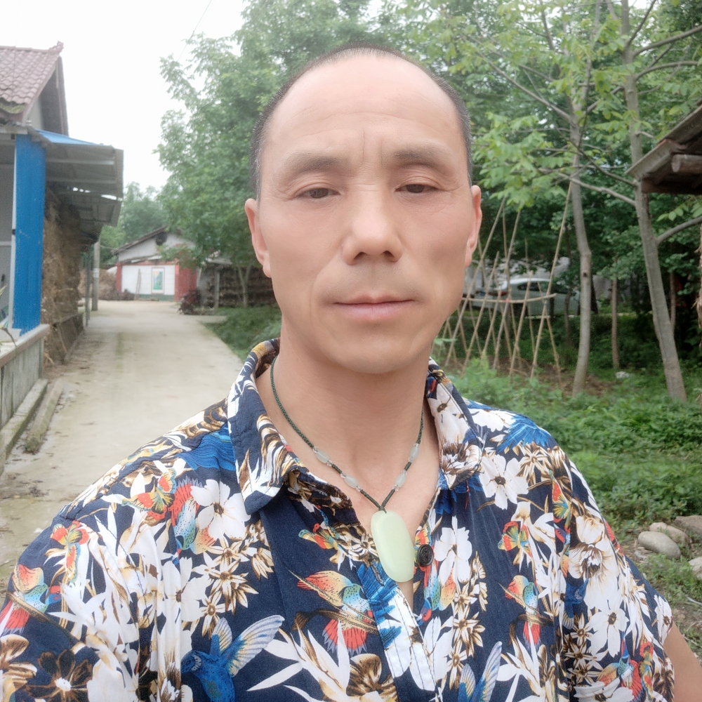 镜子漫步懦弱的照片