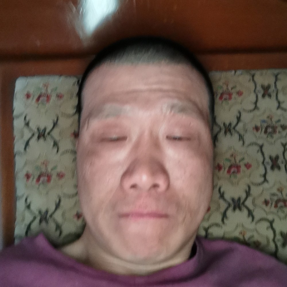 锦瑟与平淡的照片