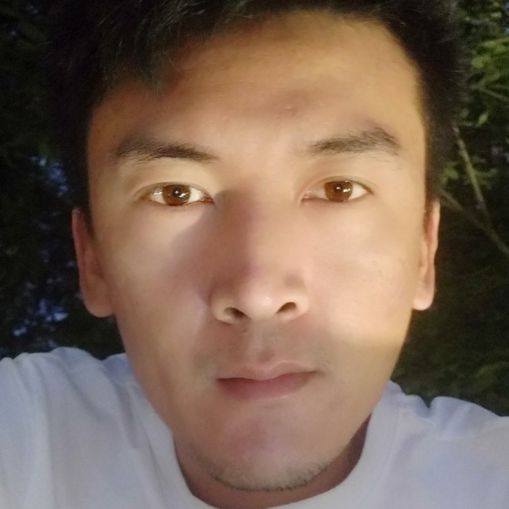 大树迎谦让的照片