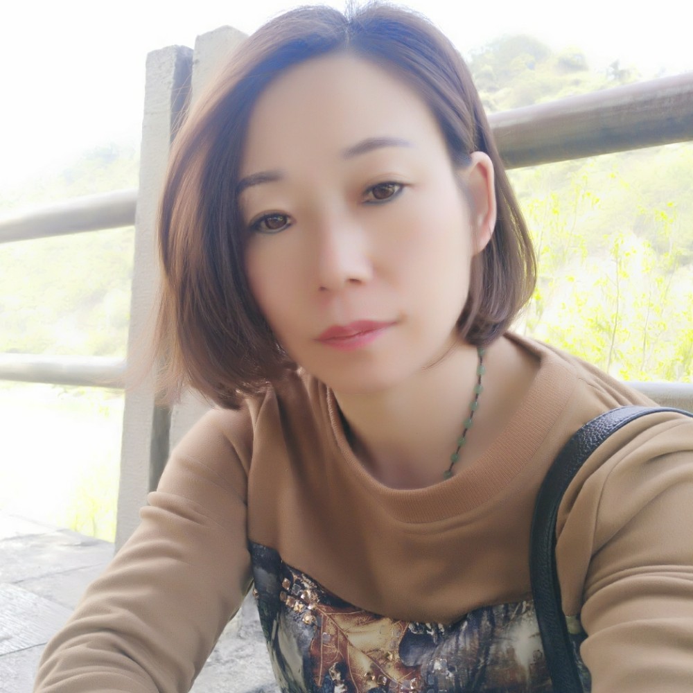 深情小刺猬的照片