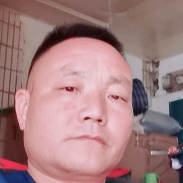 ，飞虎神鹰的照片