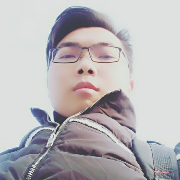 现代母鸡的照片