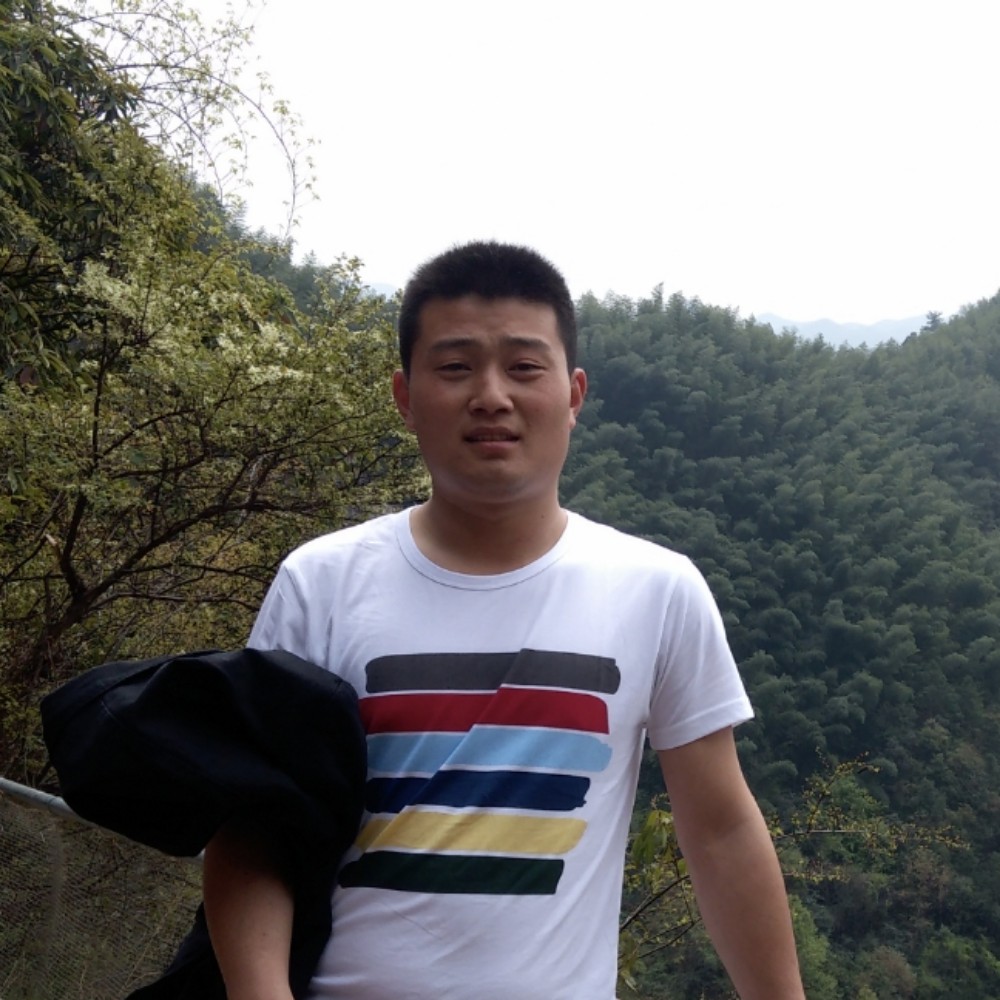 冷艳树叶的照片