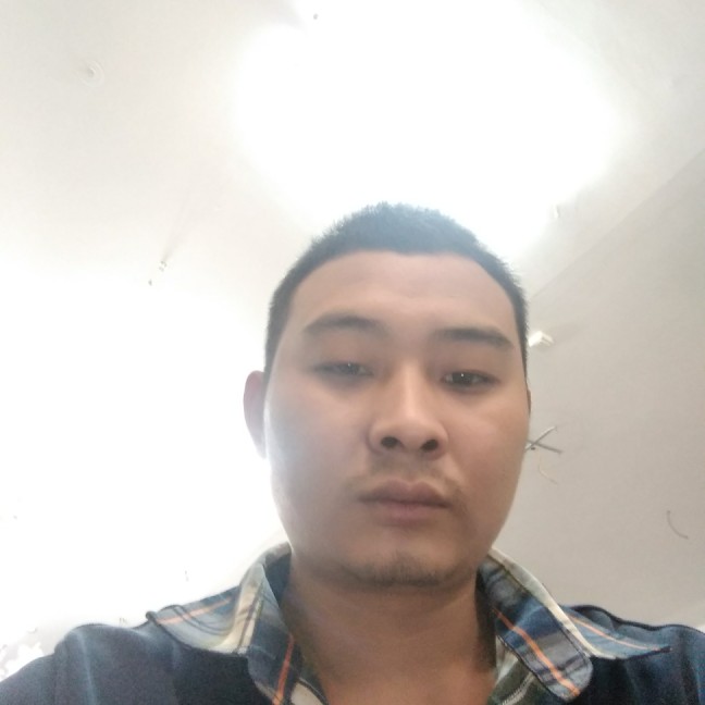 美丽树叶的照片