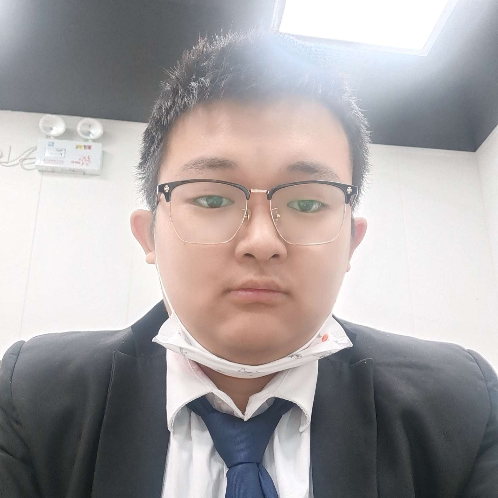 向日葵遇見动人的照片