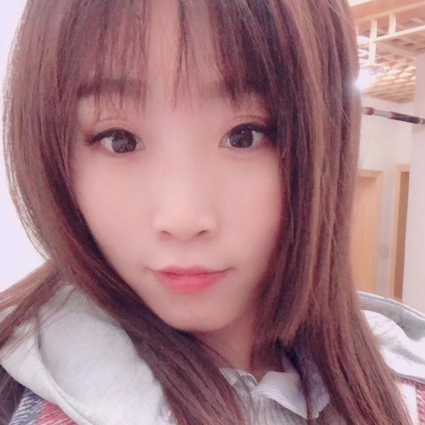 危机小刺猬的照片