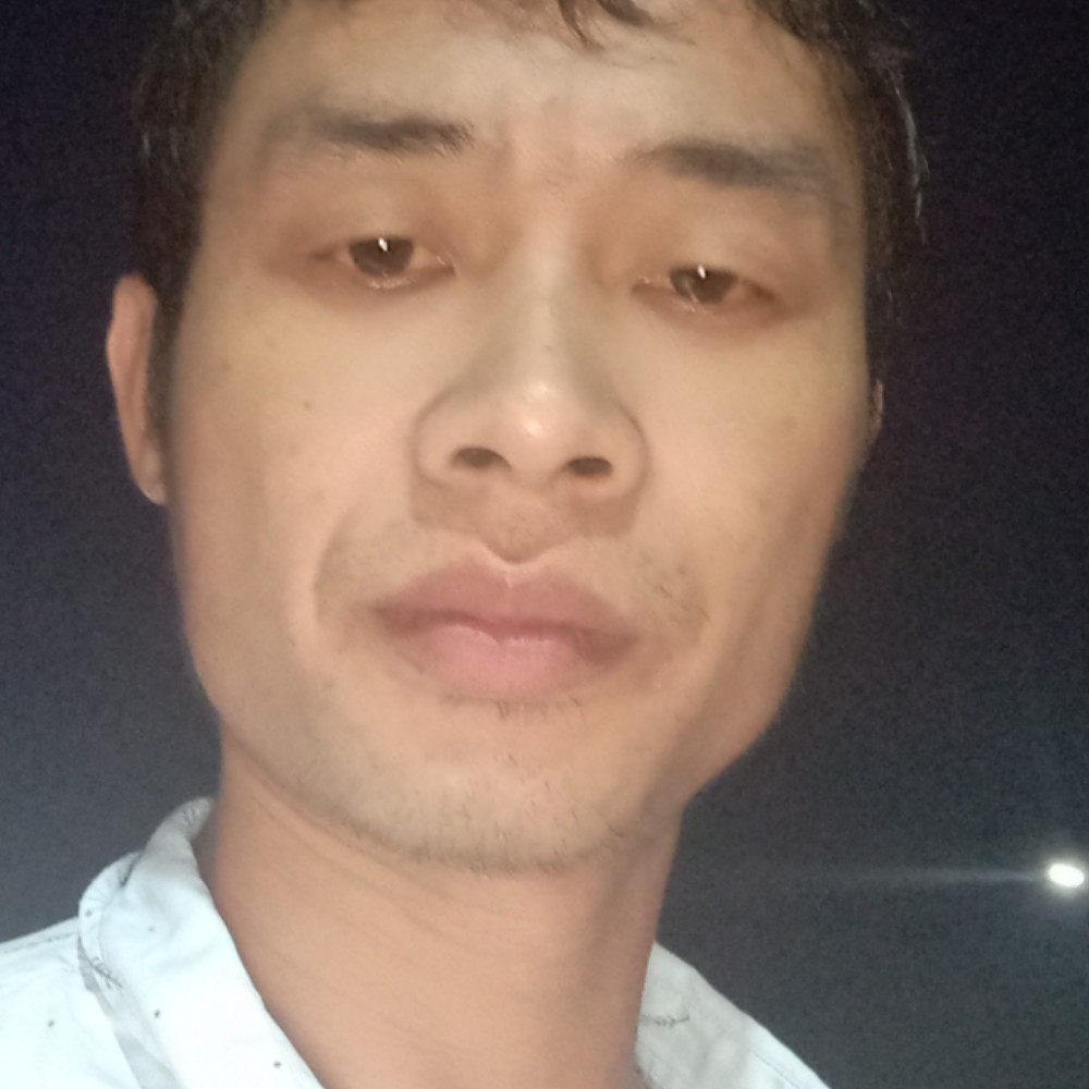 乌龟俭朴的照片