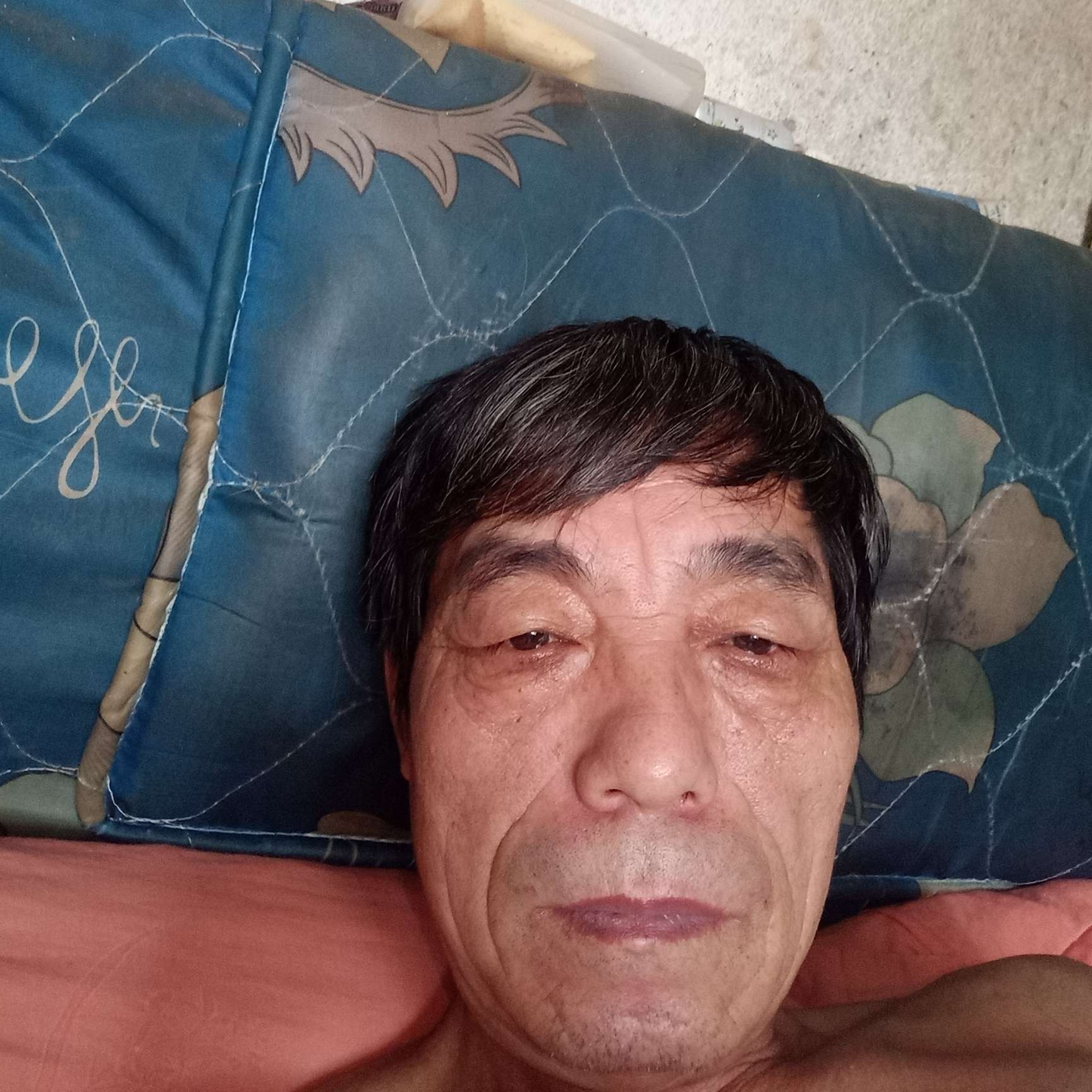 白羊拾忆烂漫的照片