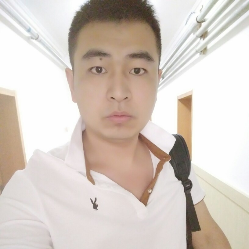 猎豹沉默的照片