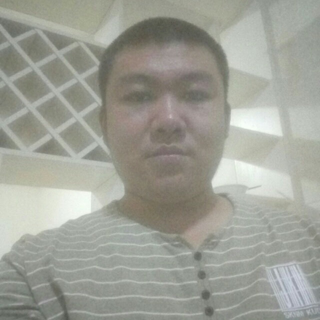 犀牛等待明亮的照片