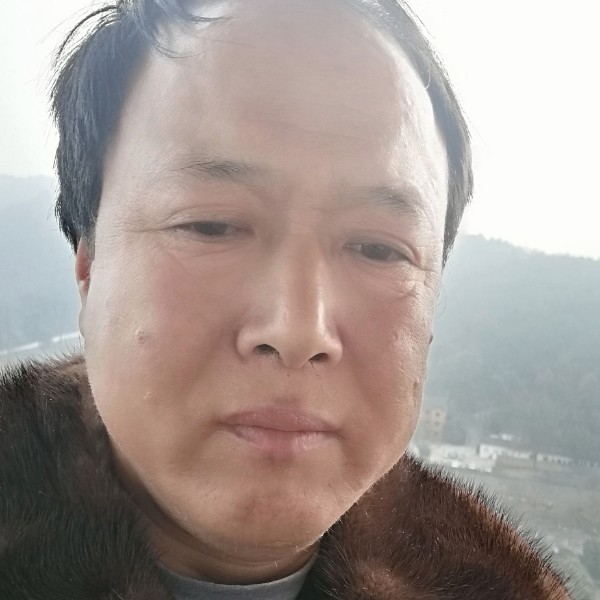 一故意无可取代的的照片