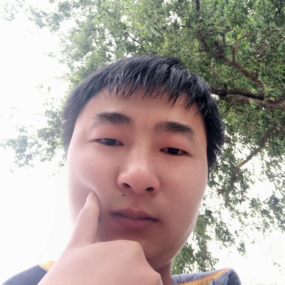 北五味子的照片