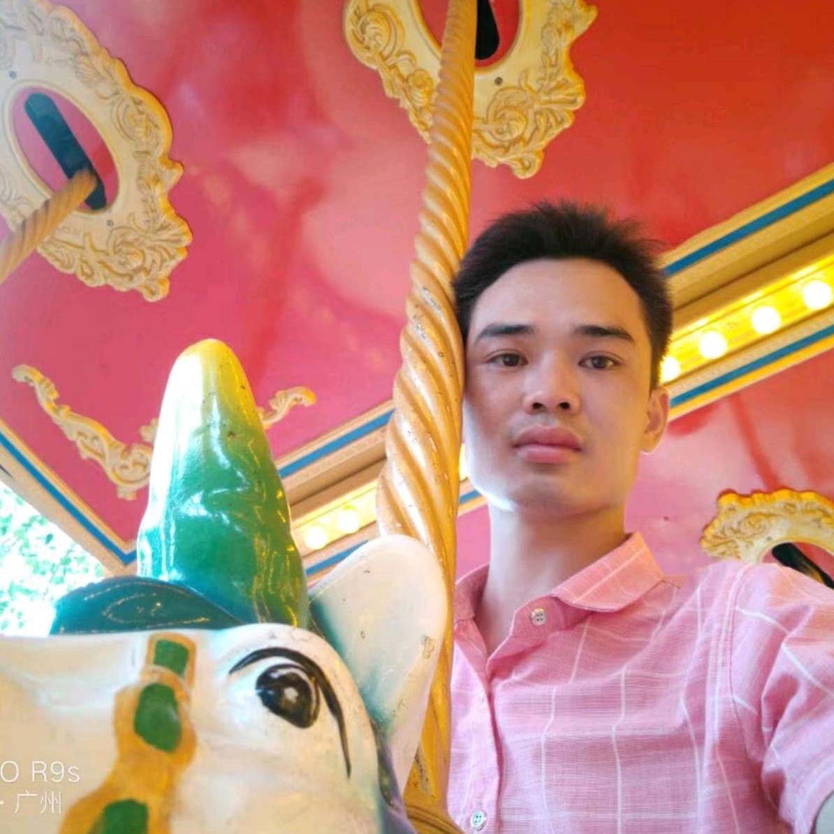 衡运四叶草的照片