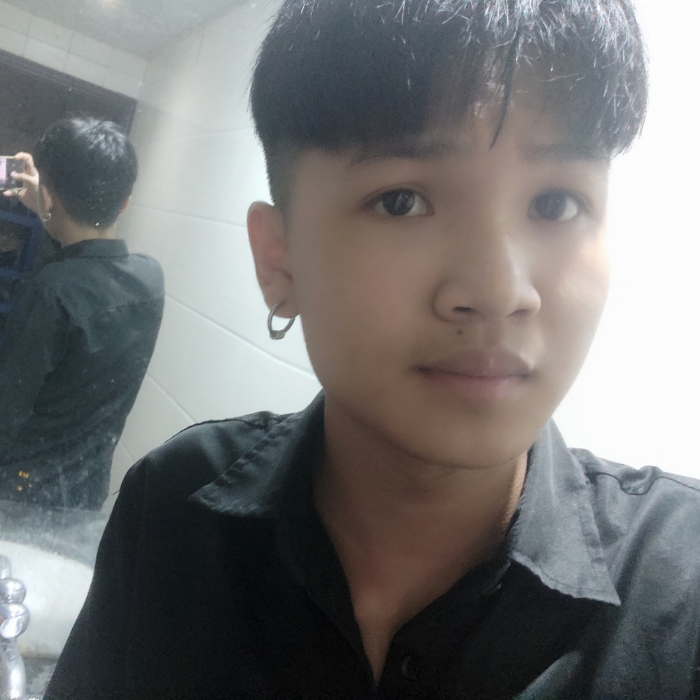 含羞草蹙眉壮观的照片