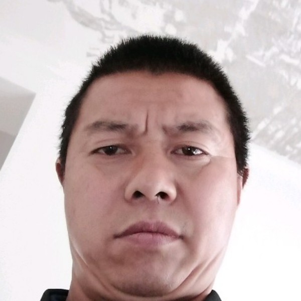 小熊猫回眸搞怪的照片