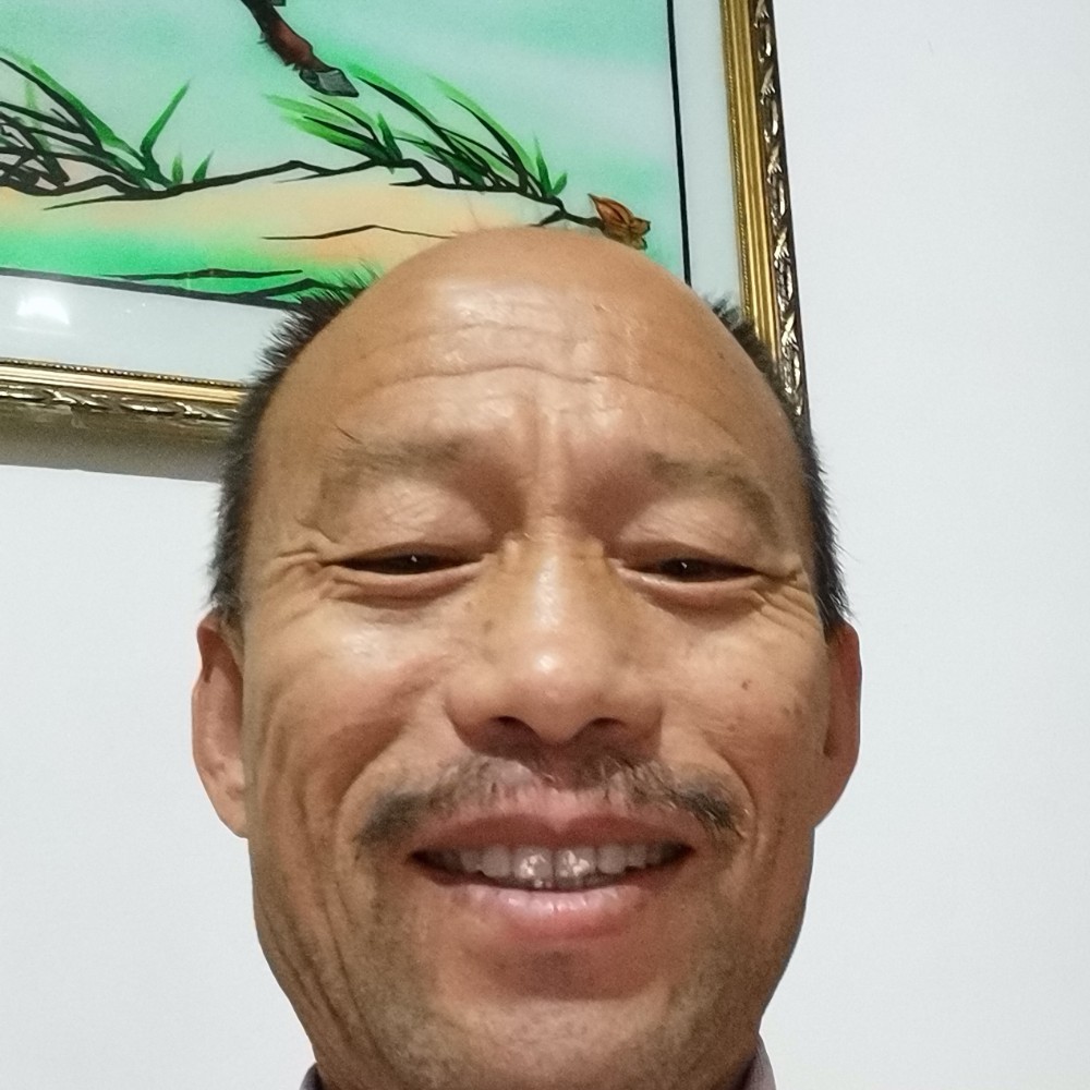 玫瑰蹁跹绵密的照片