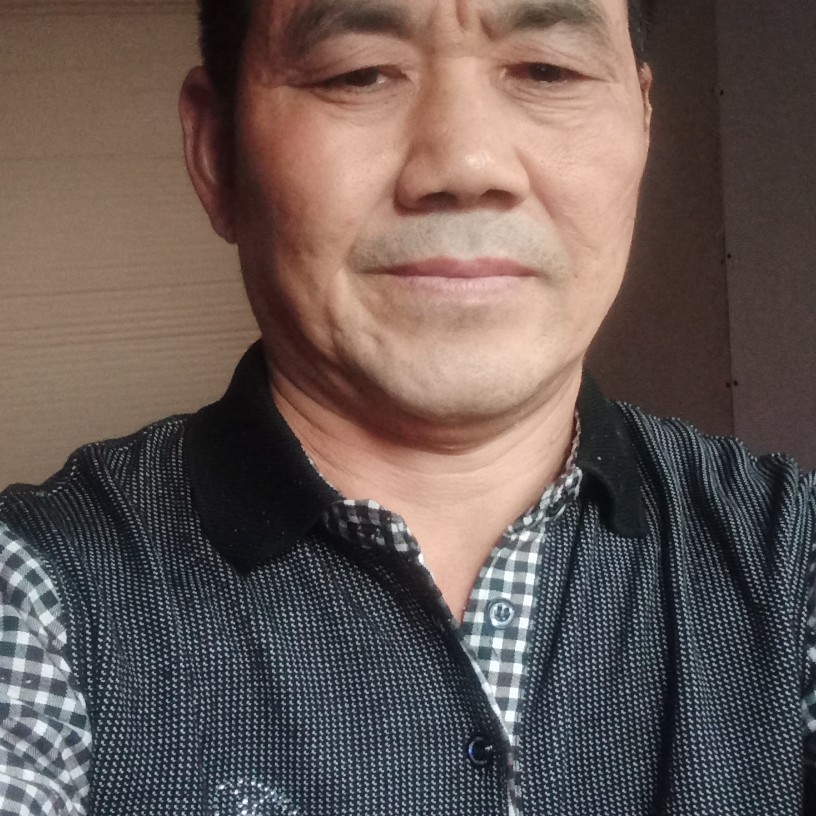 乐观西牛的照片