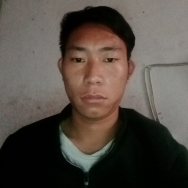 野狼安详的照片