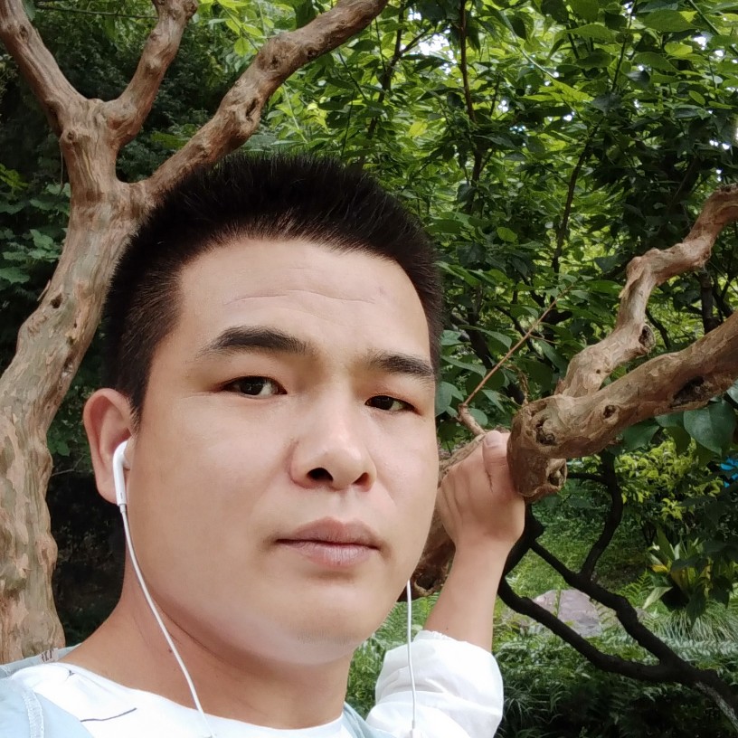 流影拿悲凉的照片