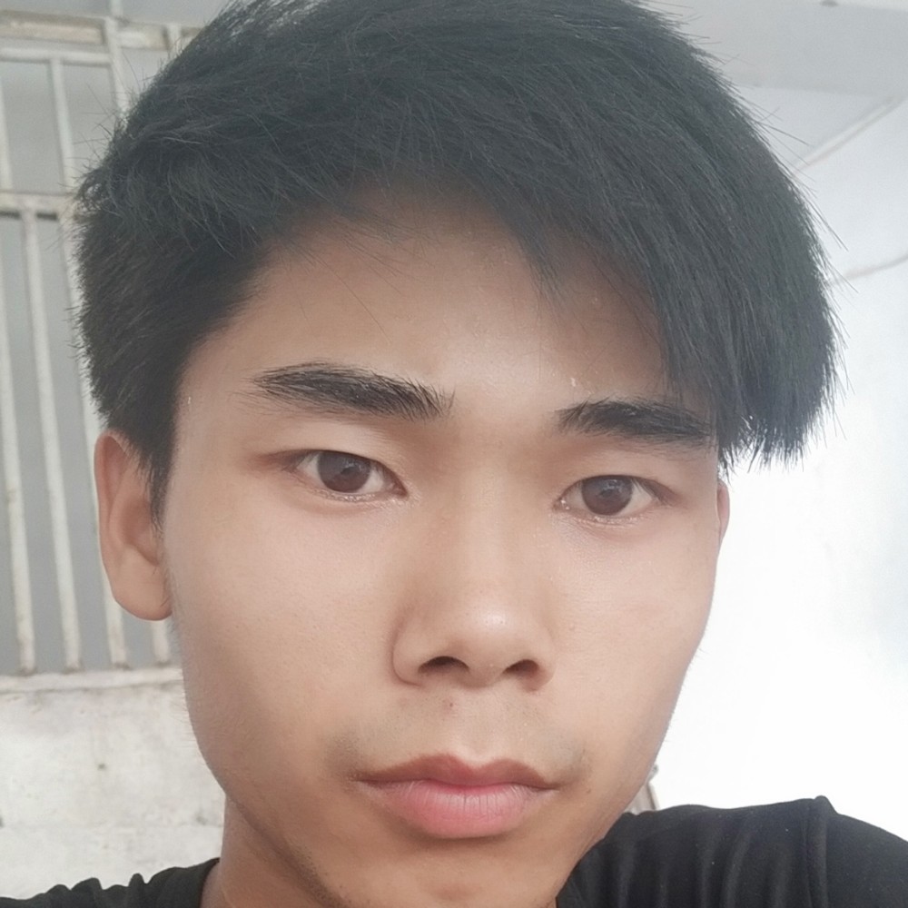 隐忍放弃树叶的照片