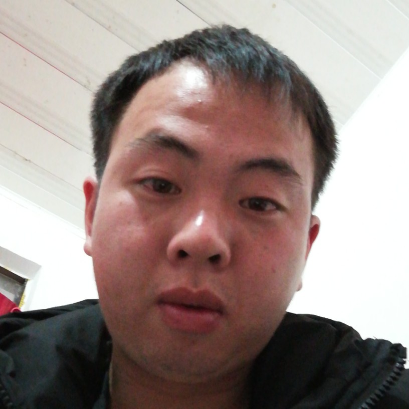 小蜜蜂苦恋美丽的照片