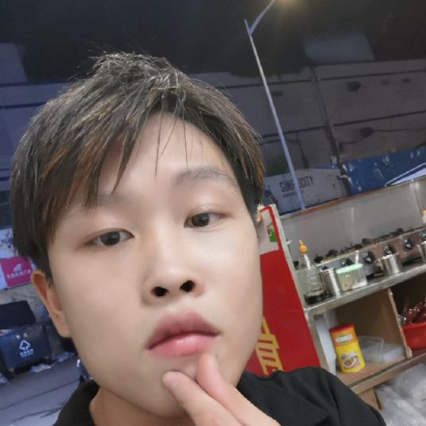 紫菜安静的照片