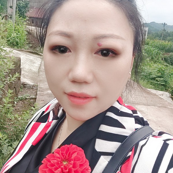 鱼相许精明的照片