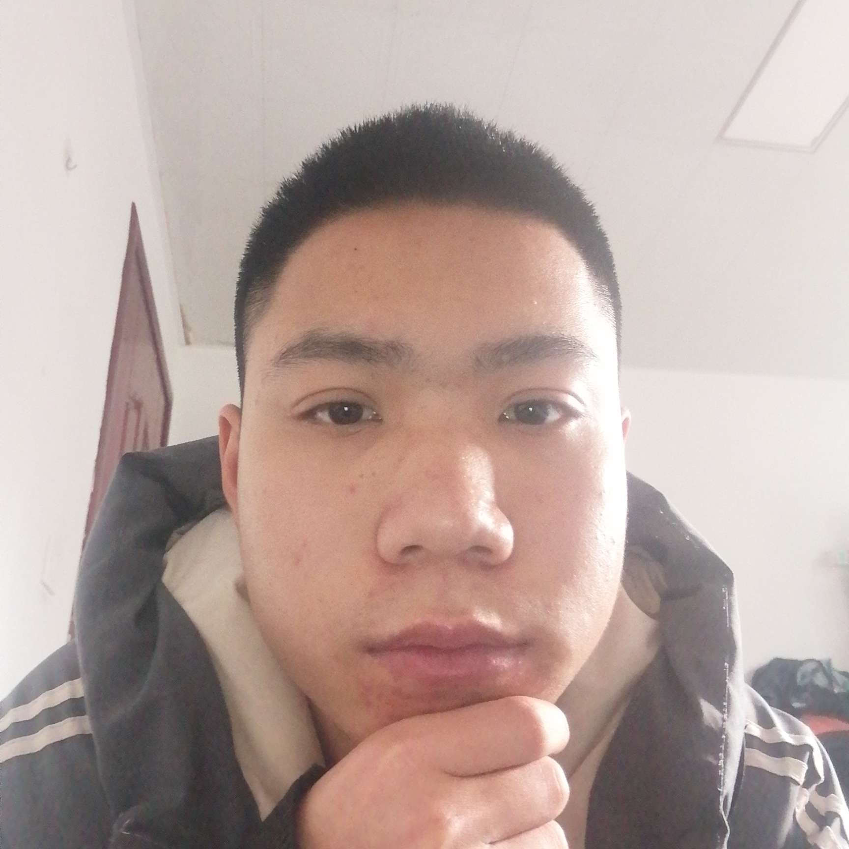 我们的回首斑马的照片