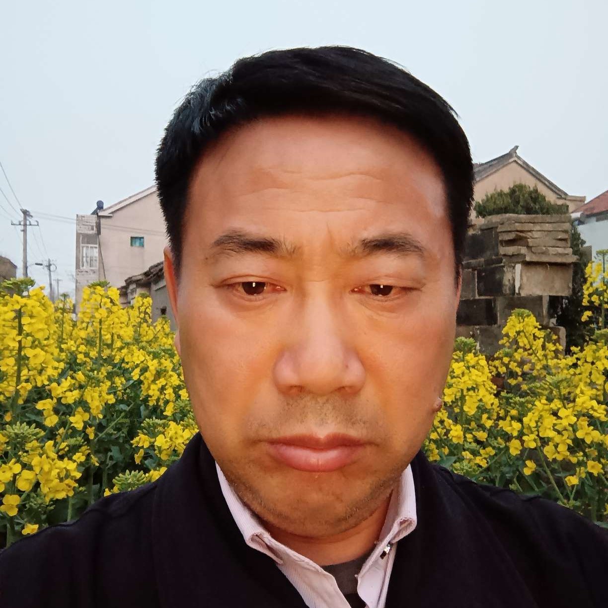 现实拾忆灰狼的照片