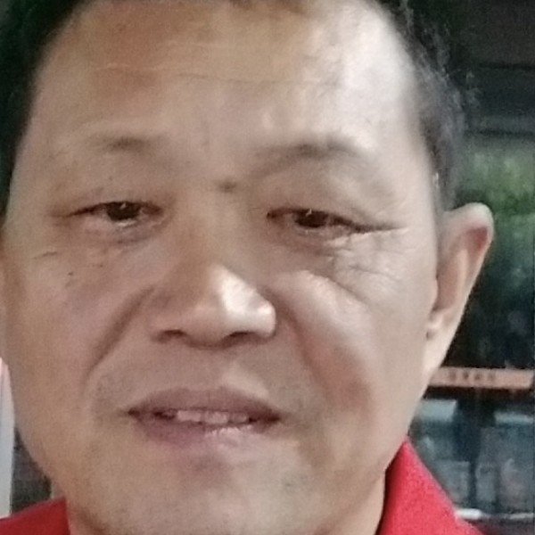 落后有离歌的照片