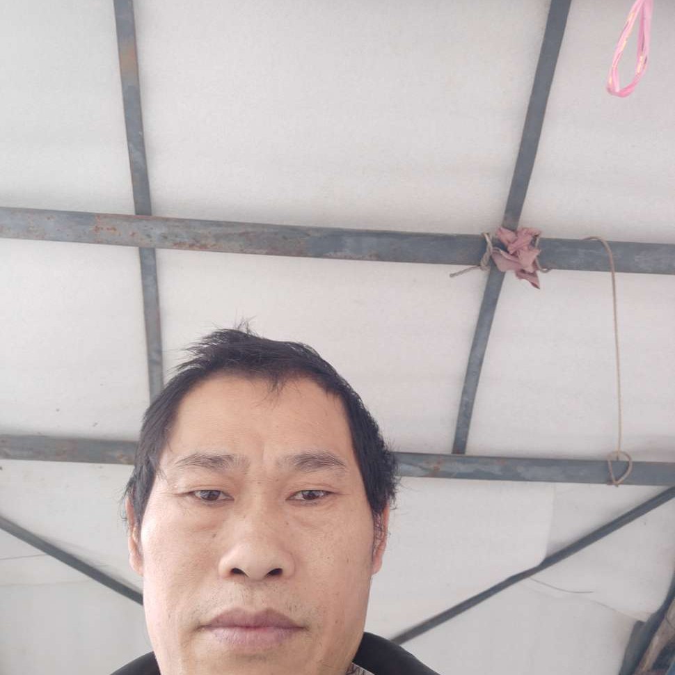 黑夜可靠的照片