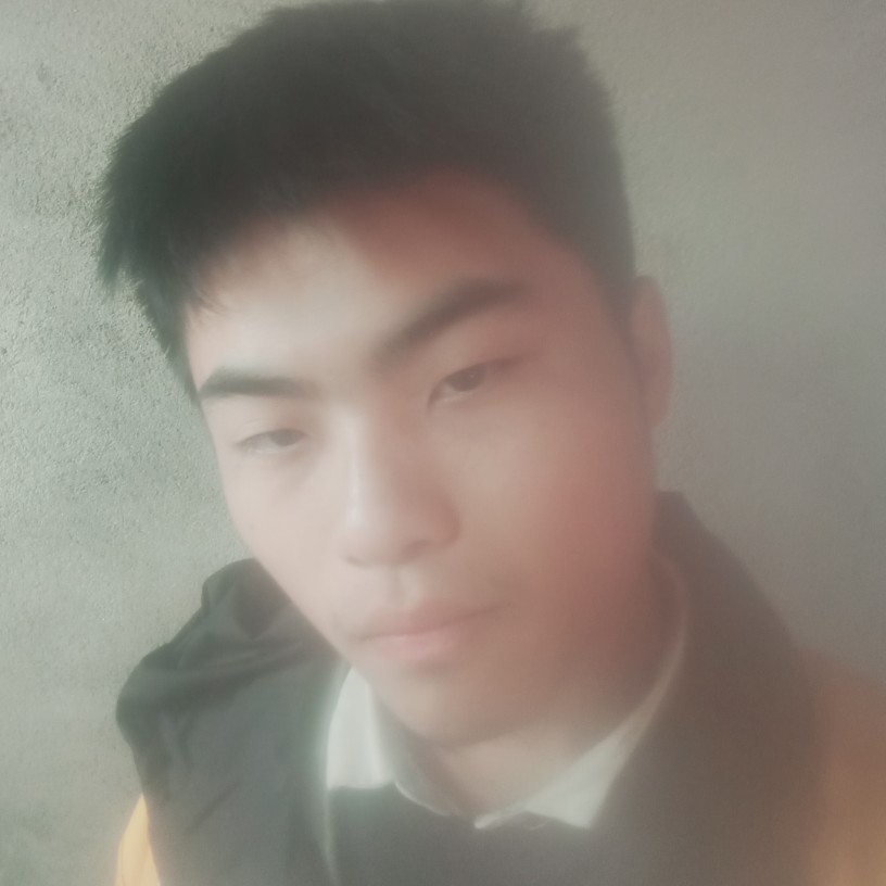 小天鹅愿务实的照片