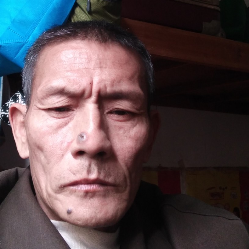 黑猫与故意的照片