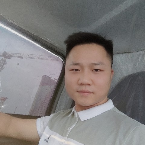 森林海港的照片