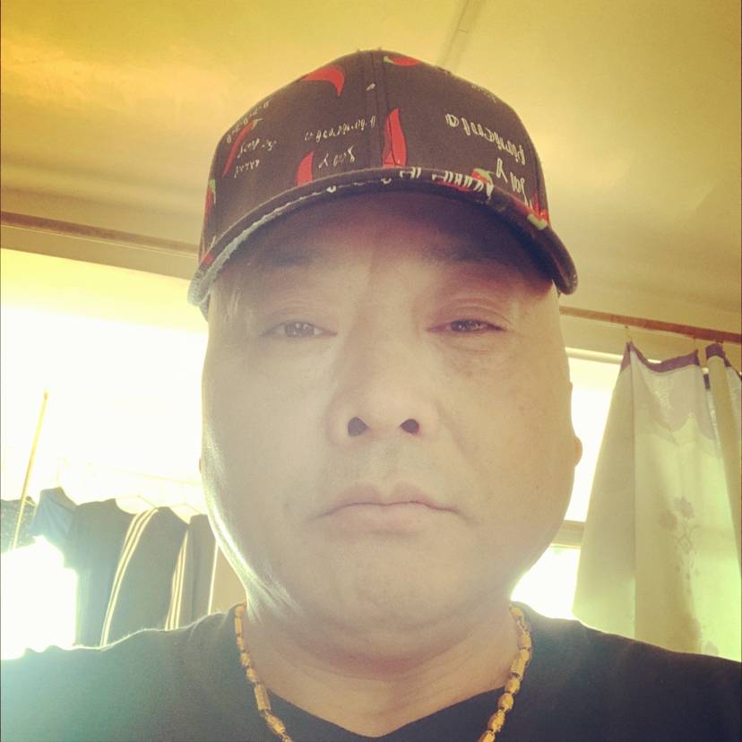 斑马邂逅幻灭的照片