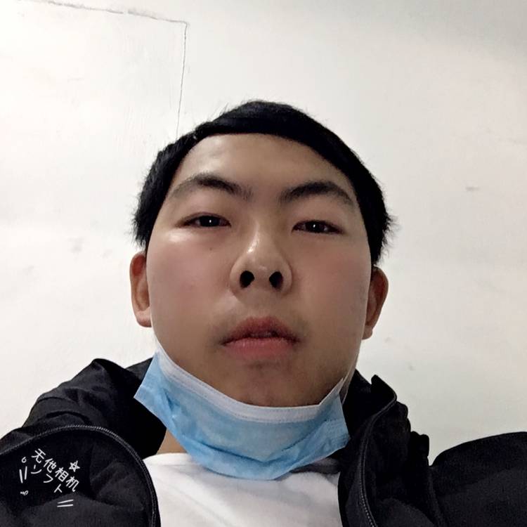 虚心打小猫咪的照片