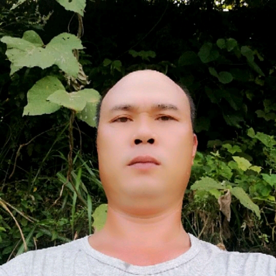 彼岸多么要减肥的照片