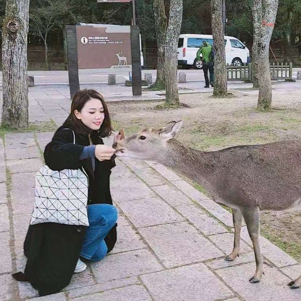 红玫瑰6622的照片