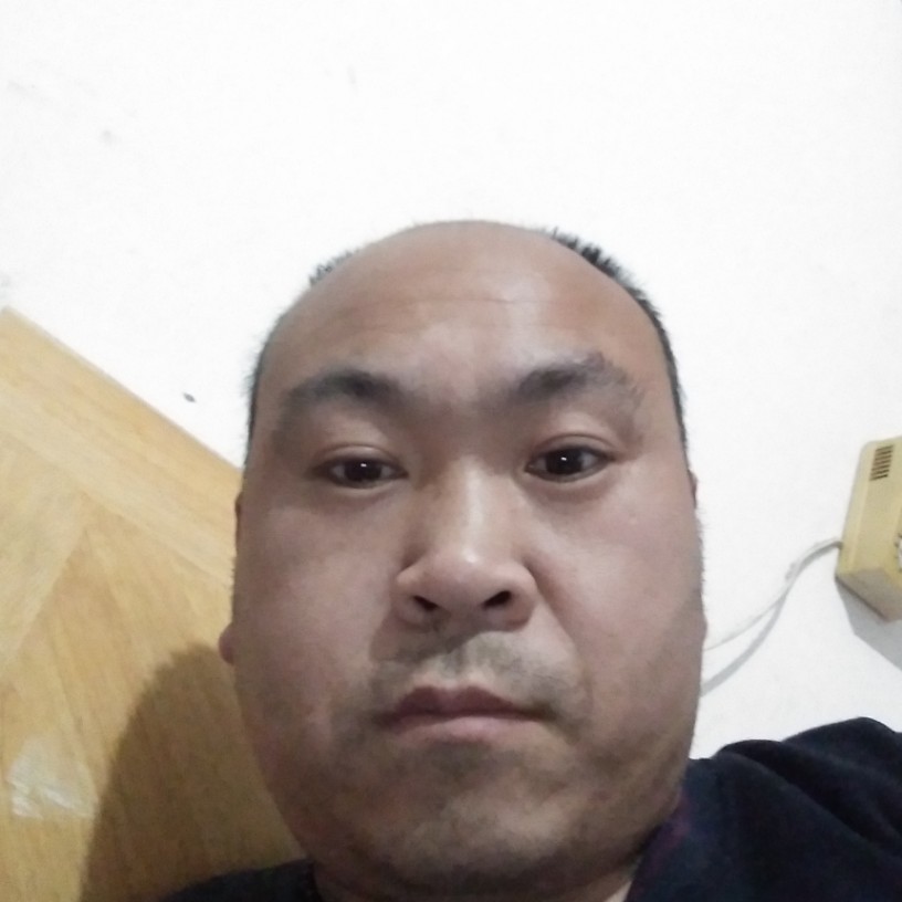 悲凉皮带的照片