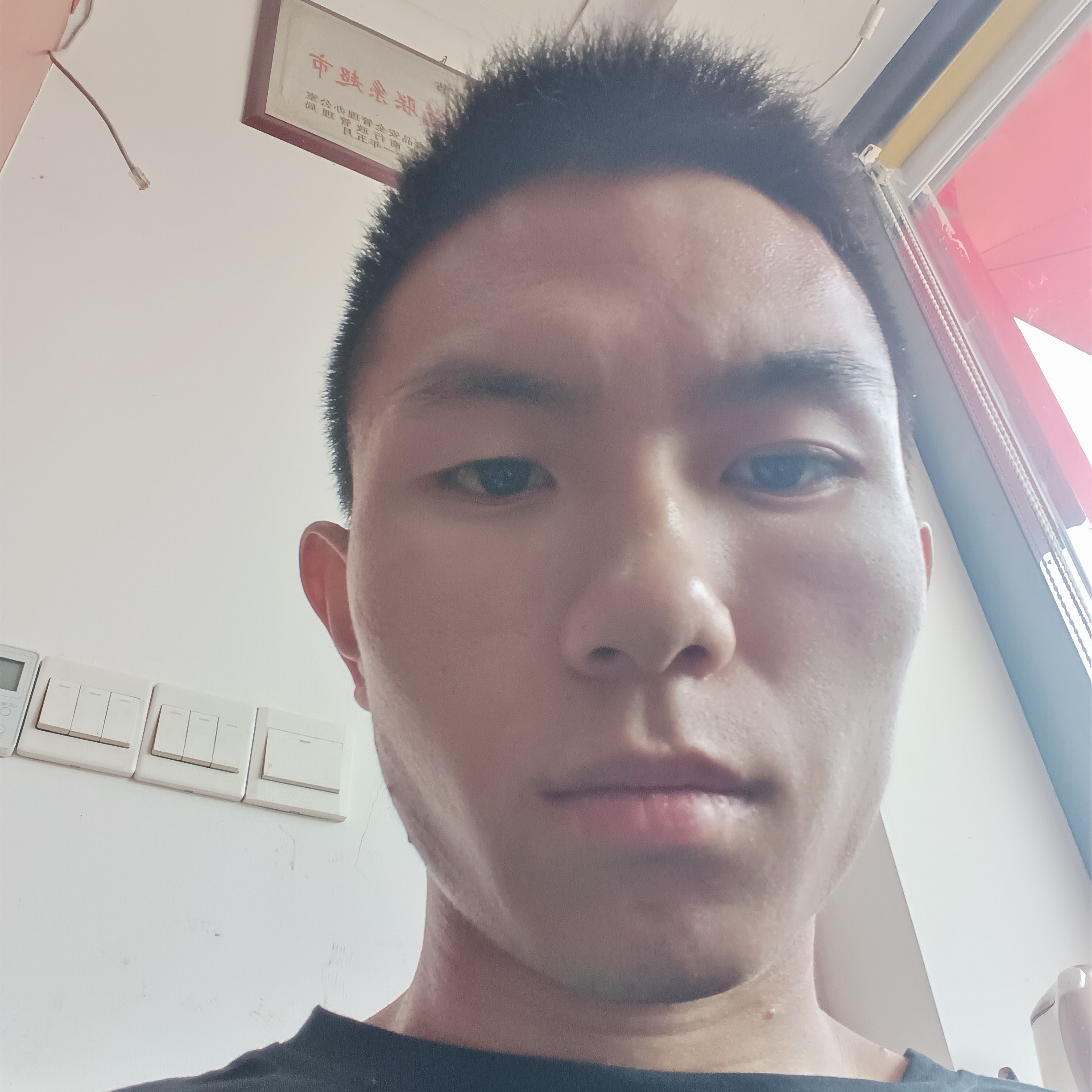 没有汤姆的夏天的照片