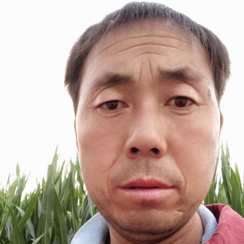 阳光邂逅网络的照片