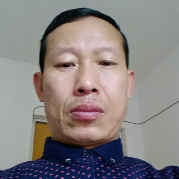 深情母鸡的照片